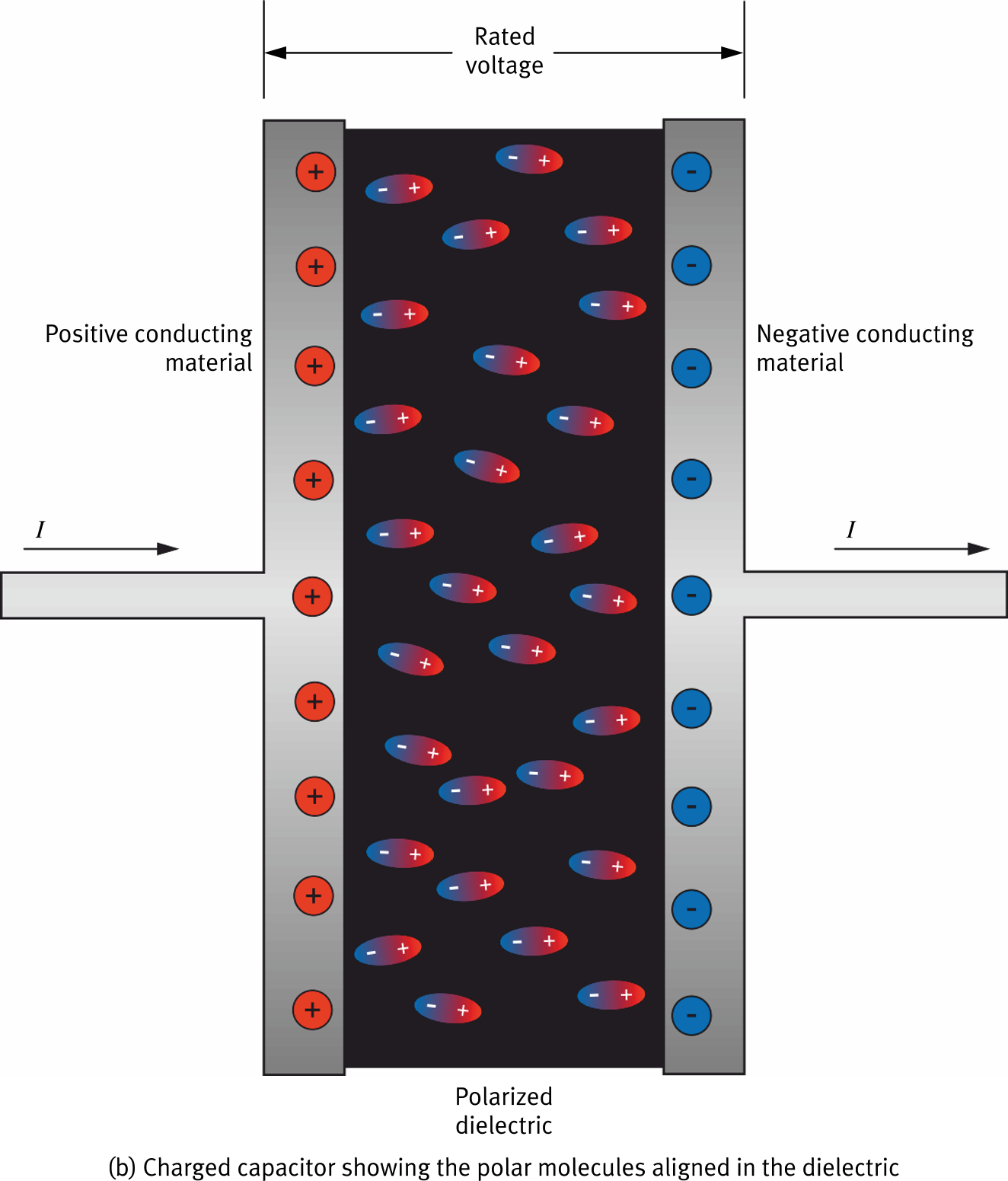 Figure 141b: Charged capacitor cross-section showing polar molecules aligned in the polarized dielectric