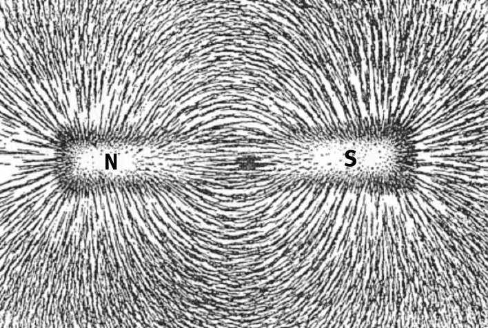 Iron filings aligned along magnetic field lines