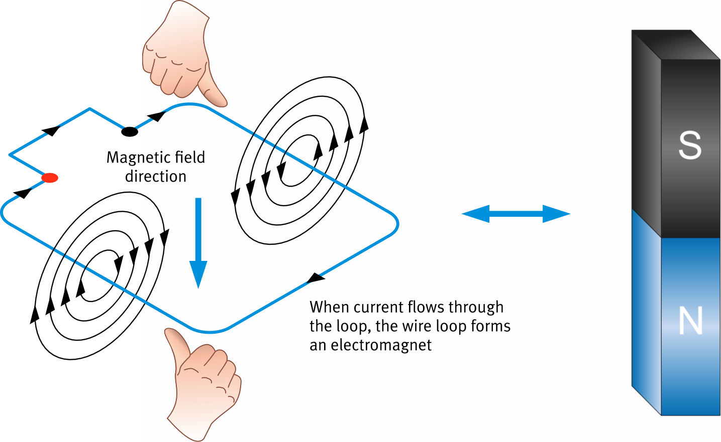 Wire loop carrying current forming an electromagnet with magnetic field lines